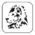 Zorab Creation 